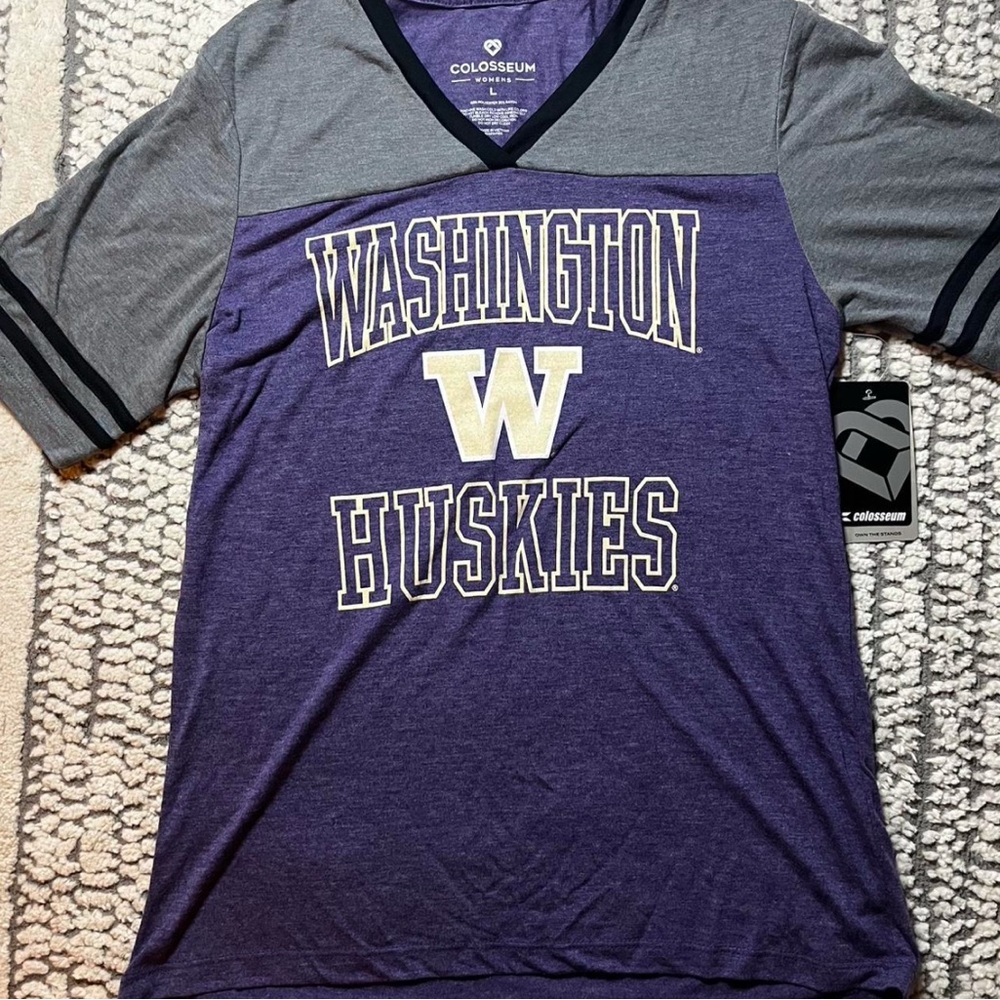 Colosseum Washington Huskies V-Neck Tee in Purple and Gray